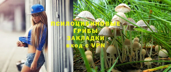 Альфа ПВП Кукмор