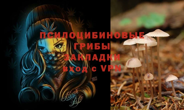 Альфа ПВП Кукмор