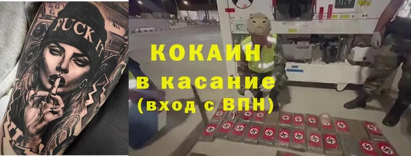 крисы Лагань